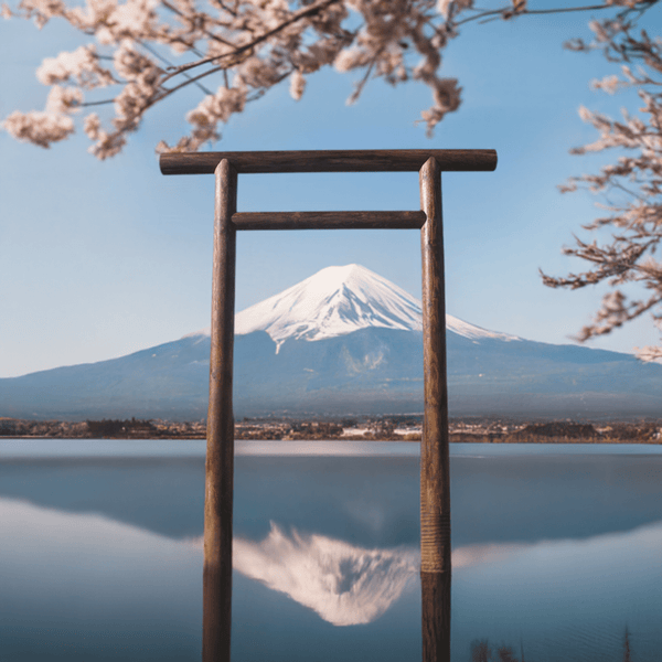 Japanese Torii Gate 8 feet Shinmei Style